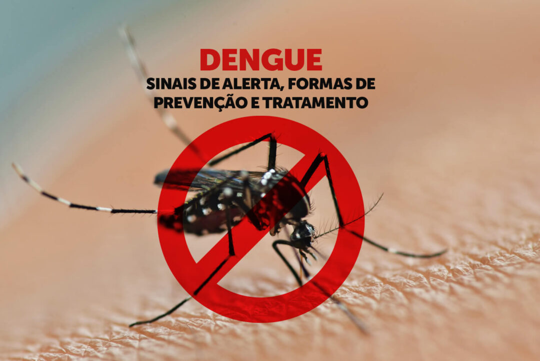 Dengue saiba os principais sintomas e suas consequências Brasiltimes Notícias