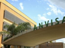 Anvisa debate regras para produção de cannabis medicinal no Brasil