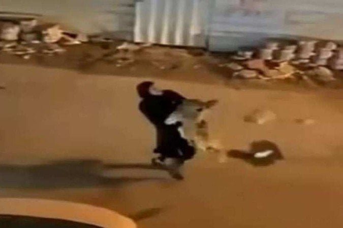 Mulher resgata leão que fugiu de casa e o carrega no colo; mundo