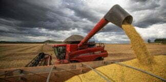 IBGE estima safra recorde de 263 milhões de toneladas em 2022