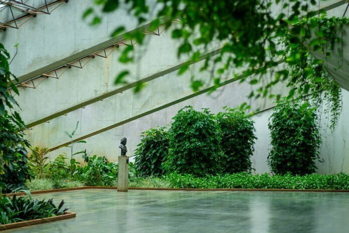 Cultura teve um ano histórico no DF brasilia