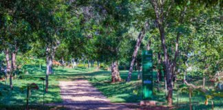 Segunda oficina prepara plano de manejo do Parque Olhos d’Água