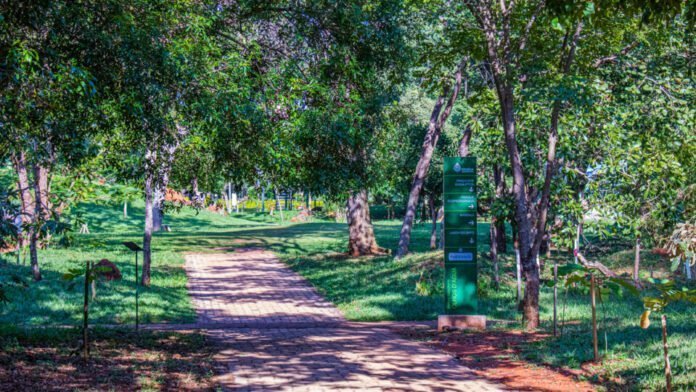 Segunda oficina prepara plano de manejo do Parque Olhos d’Água brasilia