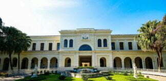 Museu da Imigração tem programação especial para o público infantil