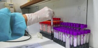 Junho Laranja: Conheça as diferenças entre anemia e leucemia