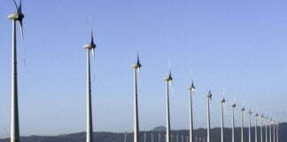 Brasil usará COP27 para atrair investimentos em energia verde