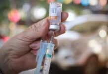 Vacina brasileira contra dengue mantém proteção por pelo menos 5 anos