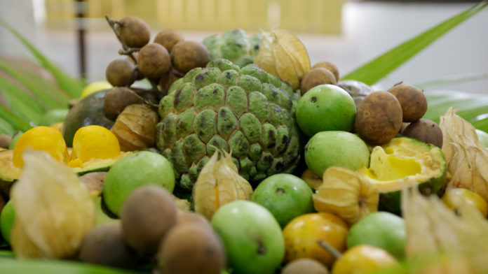 Frutos-do-cerrado-2-Foto-Alvaro-Henrique-1-2048x1153-1-696x392