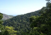 Consciência ambiental cresce até 20% em regiões com projetos de conservação de longo prazo