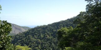 Meio ambiente: transição para economia de baixo carbono é prioridade