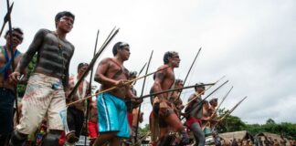 Governo cria grupo para tratar do combate a crimes em terras indígenas