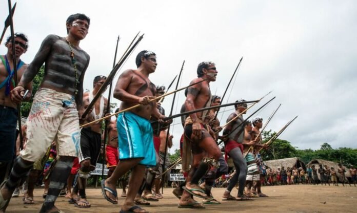 Governo cria grupo para tratar do combate a crimes em terras indígenas mundo