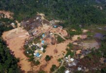 Apenas 7% das decisões judiciais sobre grilagem na Amazônia resultaram em punições