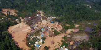 PF começa a destruir maquinário de garimpeiros na TI Yanomami