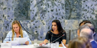 Comitê de combate ao feminicídio define primeiras ações