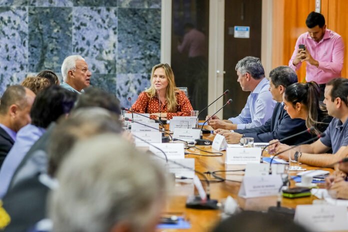 Reunião define últimos ajustes para o Carnaval da Paz brasilia