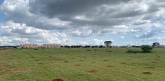 Carnaval com o plantio de 17 mil mudas no Parque Ecológico do RiachoFundo