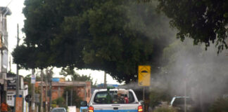 Com queda em casos de dengue, DF reforça alerta contra mosquito