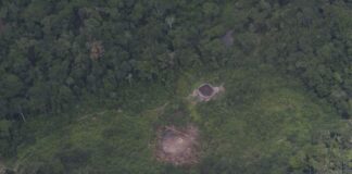 Massacre de Haximu completa 30 anos em agosto