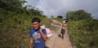 Projeto busca solução hídrica para aldeias yanomami no Amazonas