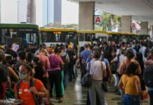 Vai de Graça encerra 2025 com 31,6 milhões de viagens nos ônibus e metrô do DF
