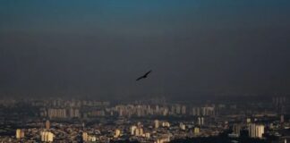 Poluição pode alterar pressão arterial em adolescentes, diz estudo