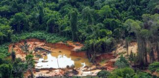 BC estuda criar sistema para fiscalizar e rastrear ouro de garimpo