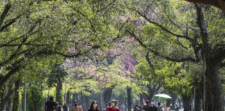 Cartilha ensina como liberar emoções de bem-estar e felicidade