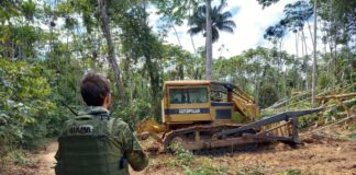 Ibama e PRF desmontam mais de 190 acampamentos na TI Yanomami