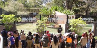 Zoológico de Brasília prorroga inscrições para voluntários
