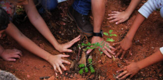 Confira o resultado das escolas contempladas pelo projeto Parque Educador