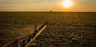 Embrapa promove orientações sobre uso eficiente de fertilizantes