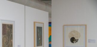 Acervo do Museu de Arte de Brasília ganha novas obras