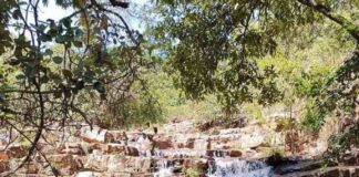 Turismo ecológico se consolida na capital da arquitetura moderna