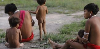 IBGE inicia última etapa do Censo 2022 na Terra Indígena Yanomami