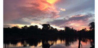 Dia Mundial da Água: Cerrado pode perder quase 34% da água até 2050