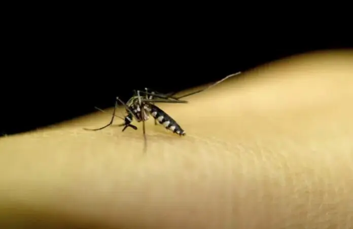saudeMinistério da Saúde diz que vai dar prioridade para compra e incorporação de nova vacina contra a dengue no SUS
