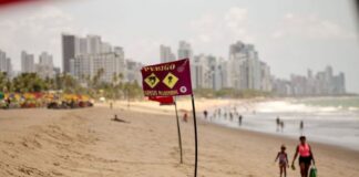 Vítima de tubarão em Pernambuco tem quadro estável de saúde