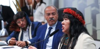 Presidenta da Funai elege medidas urgentes para terra Yanomami