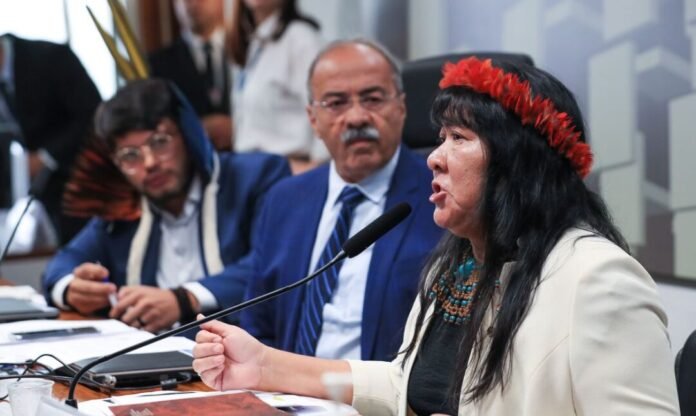 Presidenta da Funai elege medidas urgentes para terra Yanomami política