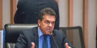 Projeto quer controle de capivaras como estratégia para evitar doenças causadas por carrapatos