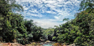 Redes sociais se consolidam como principal fonte de informação para turistas brasileiros