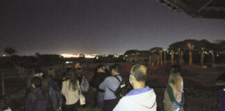 Passeio noturno do Zoológico de Brasília está de volta