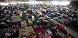 Trabalho rural: mudanças climáticas “expulsam” jovens do campo