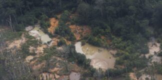 Comércio de ouro: maioria do STF vota por suspender boa-fé presumida