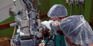 Processo de doação de órgãos no Brasil: entenda o sigilo e a importância da comunicação