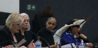 Marina Silva denuncia desmonte na fiscalização ambiental