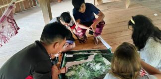 Tecnologia torna monitoramento de terras indígenas mais preciso