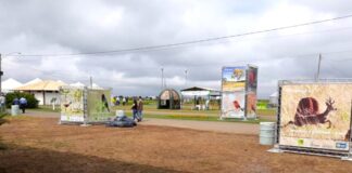 Governo discute tecnologia e sustentabilidade na AgroBrasília 2023
