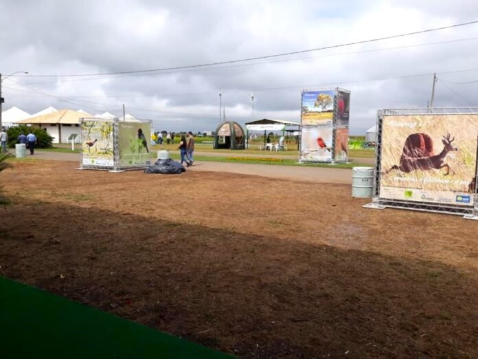 Governo discute tecnologia e sustentabilidade na AgroBrasília 2023 brasilia